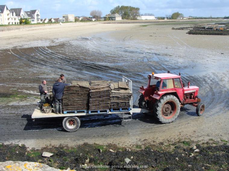 Saint Vaast la Hougue dans le Cotentin