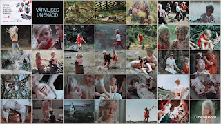 Värvilised unenäod / Colorful Dreams. 1974. DVD.