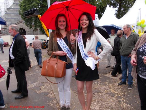 Les Journées Châtillonnaises 2014