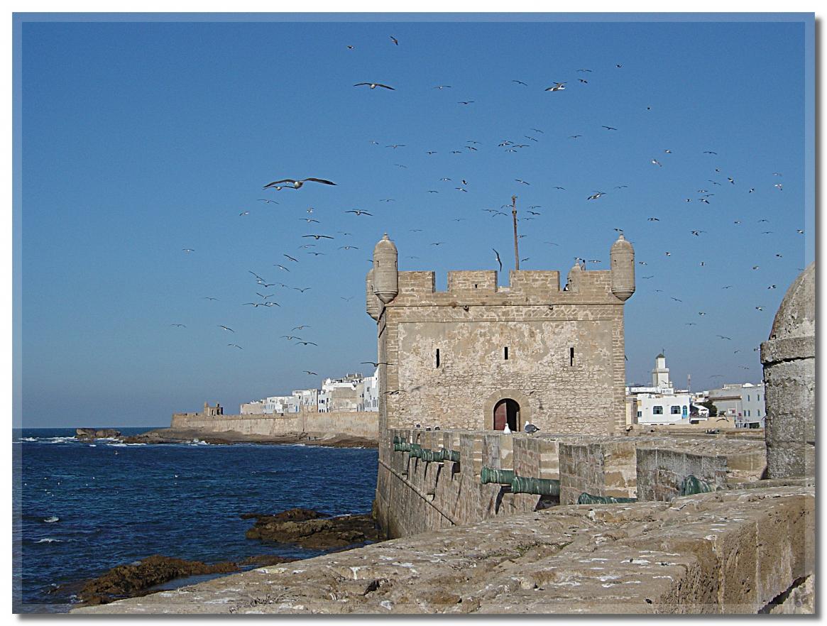 UN  PETIT  TOUR  A  ESSAOUIRA 
