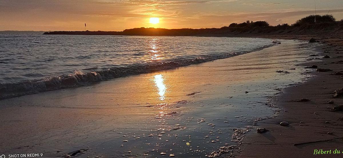 le lac marin de Marennes (17)