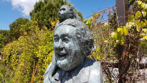 Le remède à la morosité