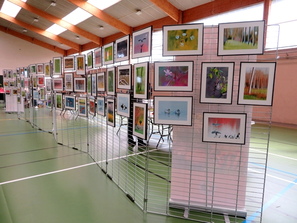 beaucoup d'artistes et artisans d'Art ont exposé au "salon des champignons" 2023 de la Société Mycologique du Châtillonnais
