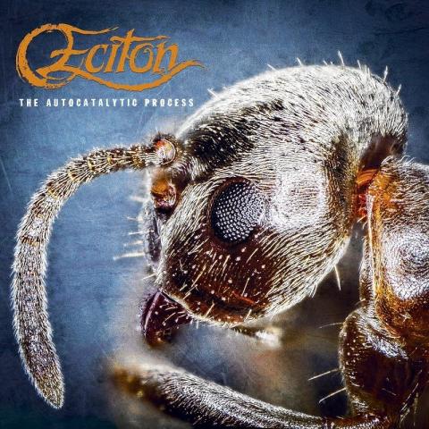 ECITON - "Idealized Scum" Lyric Video
