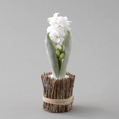 Vendredi senryû, haüku, les fleurs de Noël...