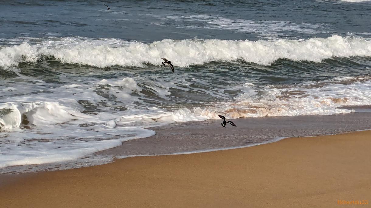 ma balade sur l'ile d'Oléron