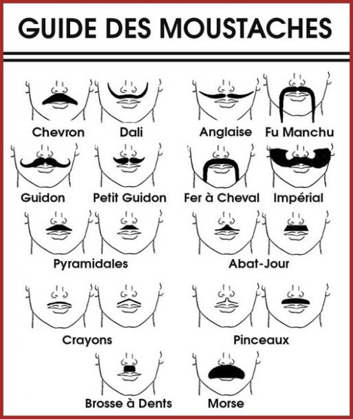 MOUSTACHE