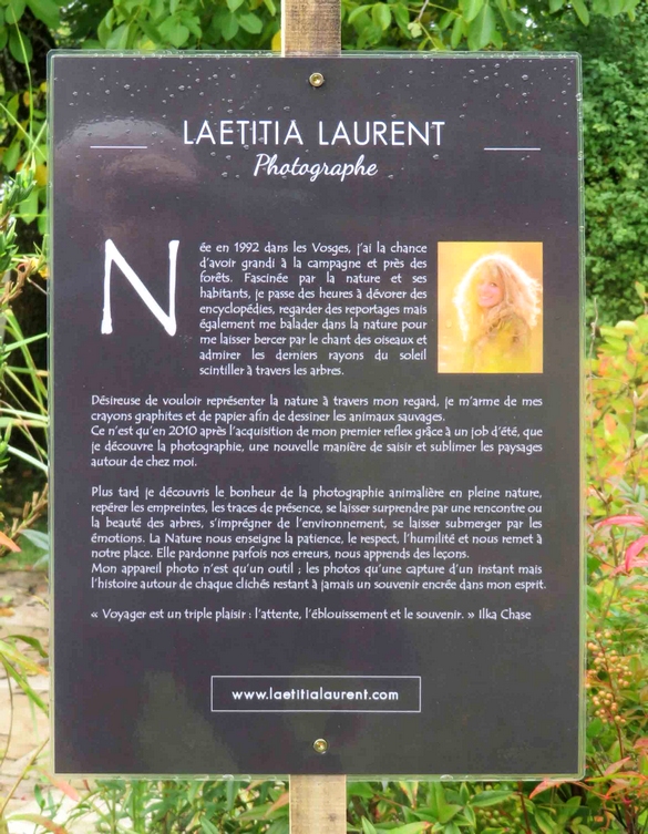 Une exposition de photographies aux Villas du Parc à Vanvey