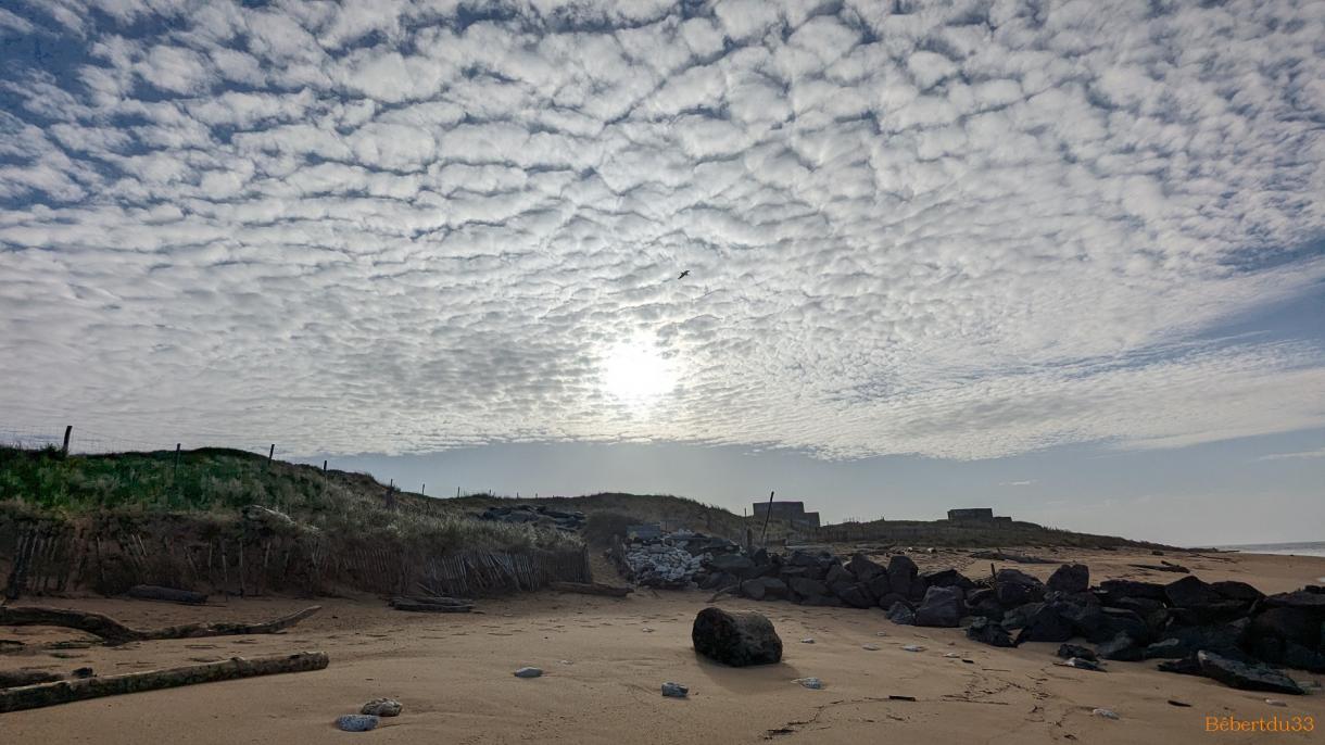 ma balade sur l'ile d'Oléron