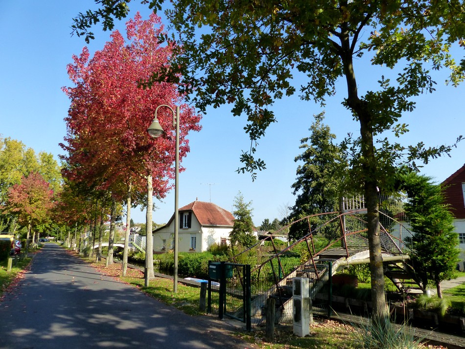 Dimanche 15 octobre, 26°