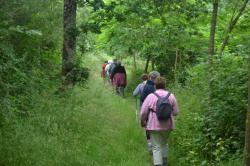 La balade du 12 juin au pont du Coudray 