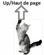 Up / haut de la page