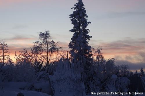 Voyage en Laponie au pays du Père Noël
