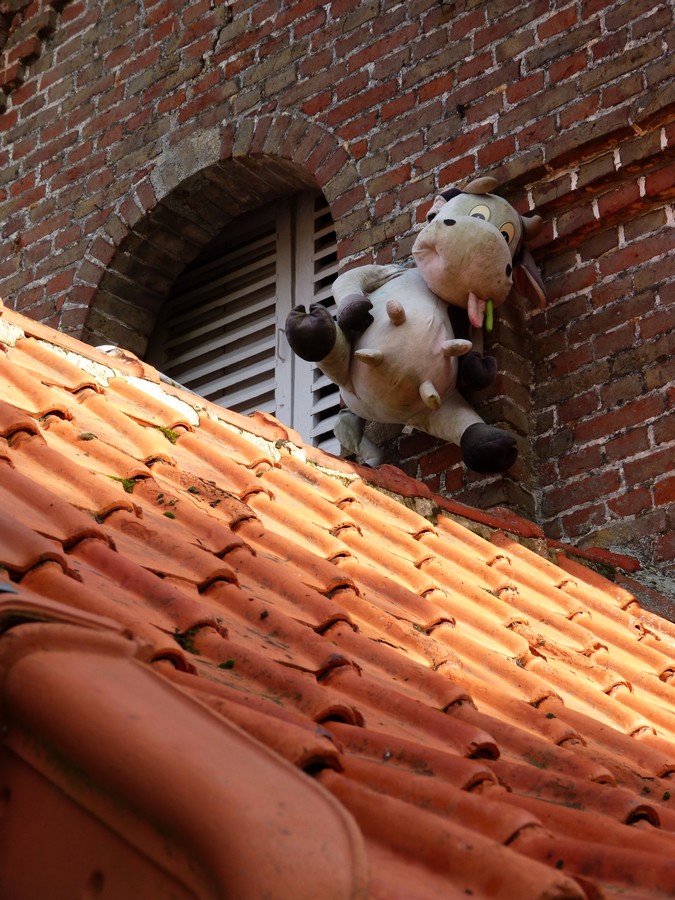 Hier les canards, aujourd'hui ...