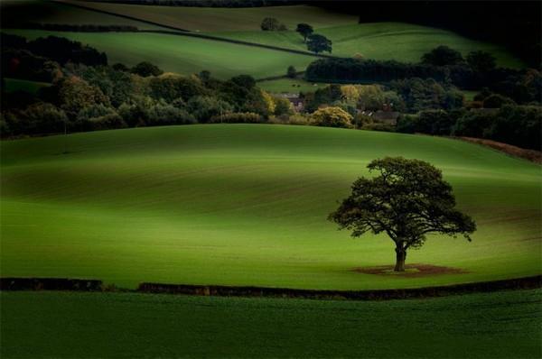 La TERRE et les PAYSANS