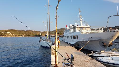 Un article pas drôle du tout !!!