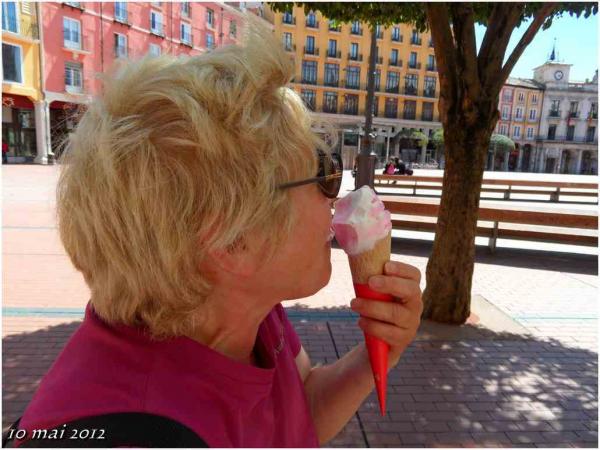 (J36) Rabé de las Calzadas / Burgos 10 mai 2012 (2)