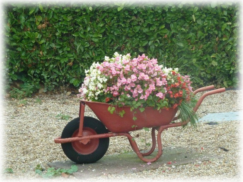 Objet de nos campagnes ...