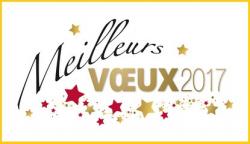 * Meilleurs vœux pour 2017 