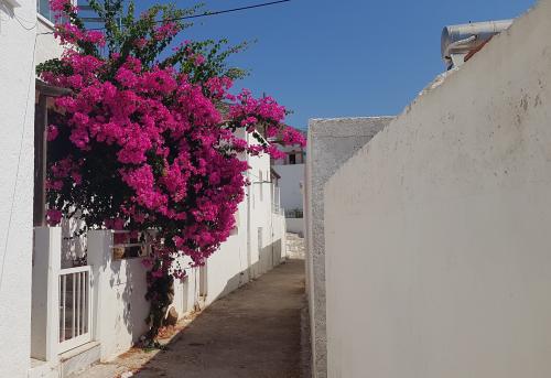 On arrive à TILOS...