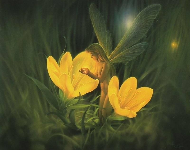 Image008.jpg