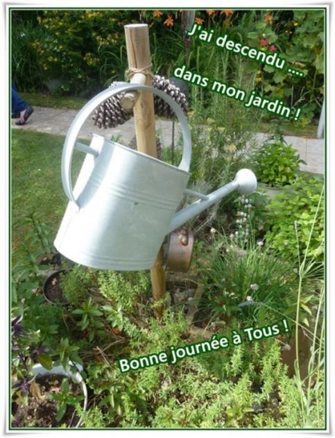 Petits pois chez soi ...