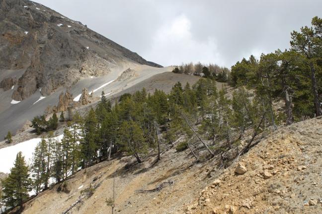 4 La Casse déserte (8)