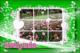 Evalynda