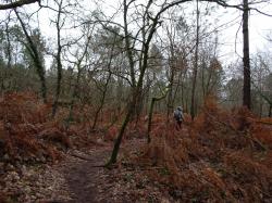 CR / RANDO 15 / ST-MEDARD-EN-JALLES