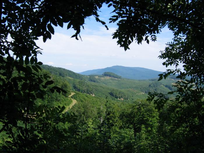 La Hongrie dans l'Europe