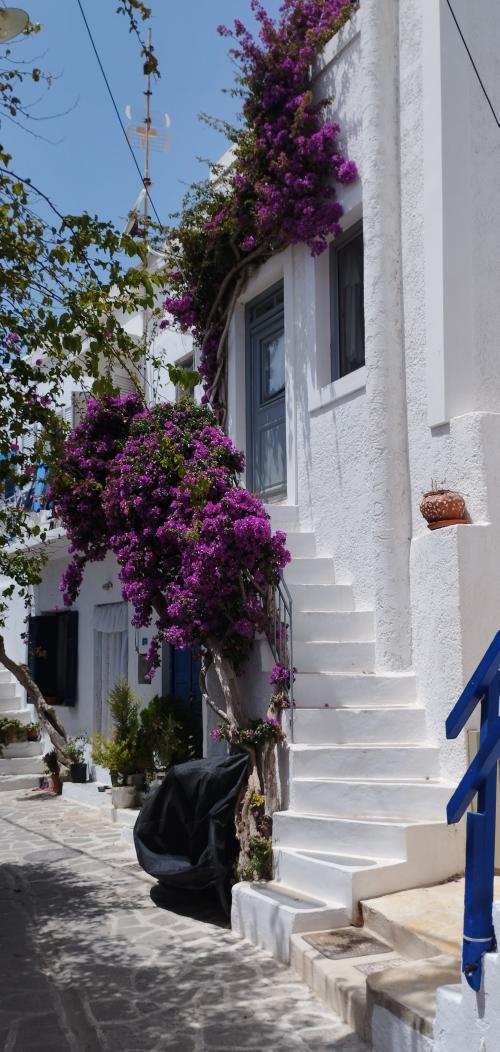 PAROS en couleurs !