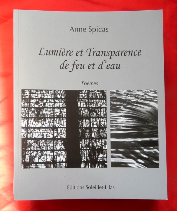 "Des livres au Village" à Recey-sur-Ource a permis de rencontrer des écrivain(e)s et une photographe talentueuse, Anne Spicas