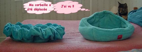 Ma nouvelle corbeille : un flop !