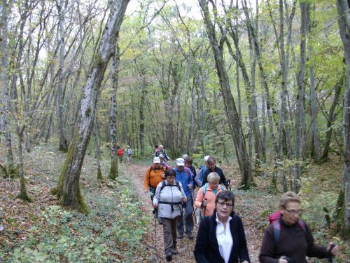 "Couchey TO" - Mercredi 24 octobre 2018