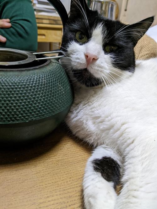 Motivation, vous avez dit motivation?