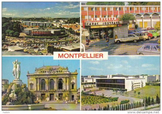 ღ꧁ღ╭⊱ 34 L'hérault  ꕥ⊱╮ღ꧂ღ