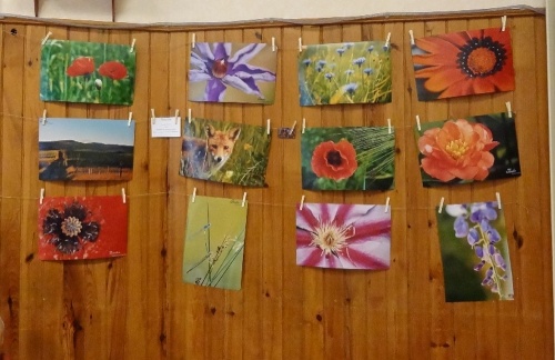 "Le jardinier amateur", l'exposition 2012 des Amis du Canton d'Aignay le Duc
