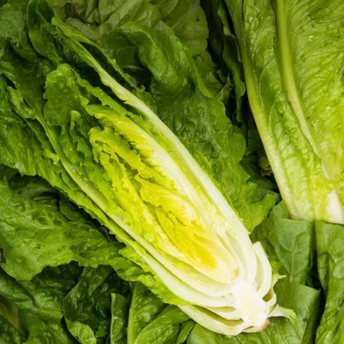 Légumes du mois de Juillet