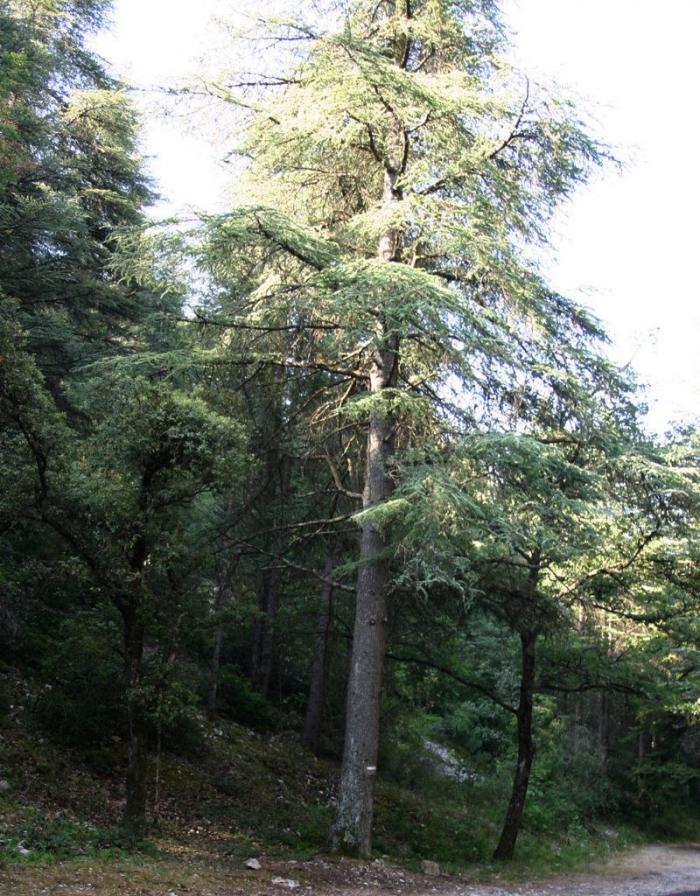 Département du Vaucluse