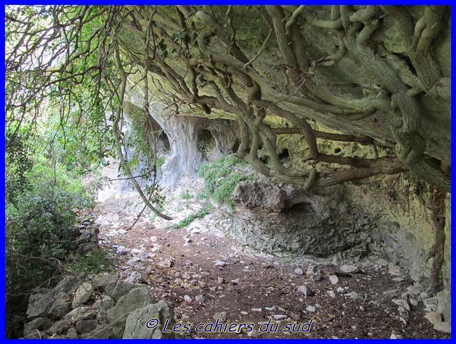 La combe de Curnier