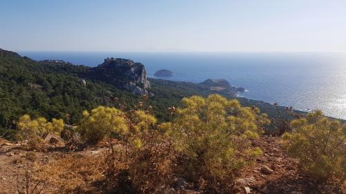 RHODES, la côte !