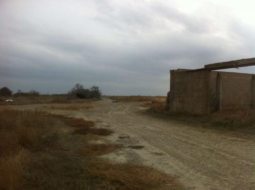 Petit mas ancien destructurée - Camargue