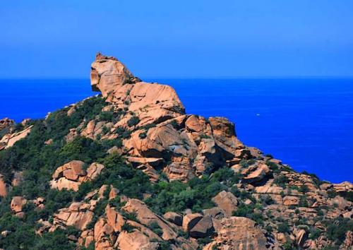 Roccapina : sa tour génoise et son lion (Corse)