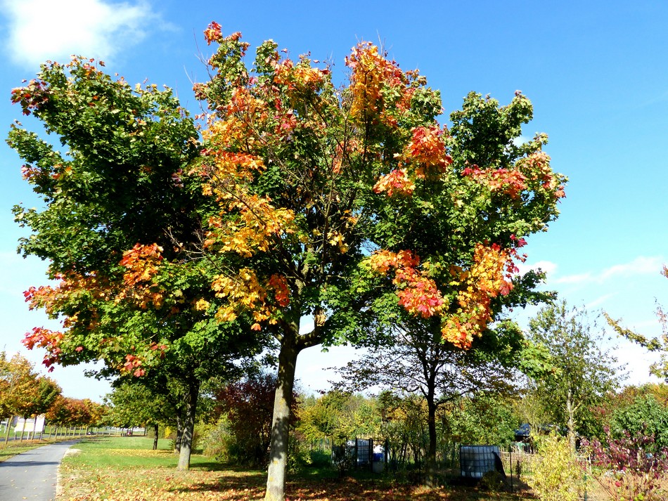 Shopping Promenade est arrivé