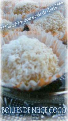 BOULES DE NEIGE COCO
