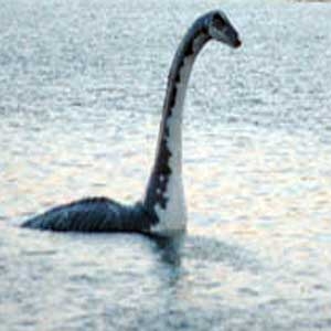 nessie (1)