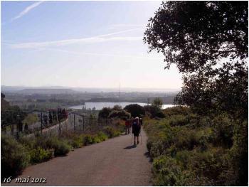 (J42) Navarrete / Viana 16 mai 2012 (1)