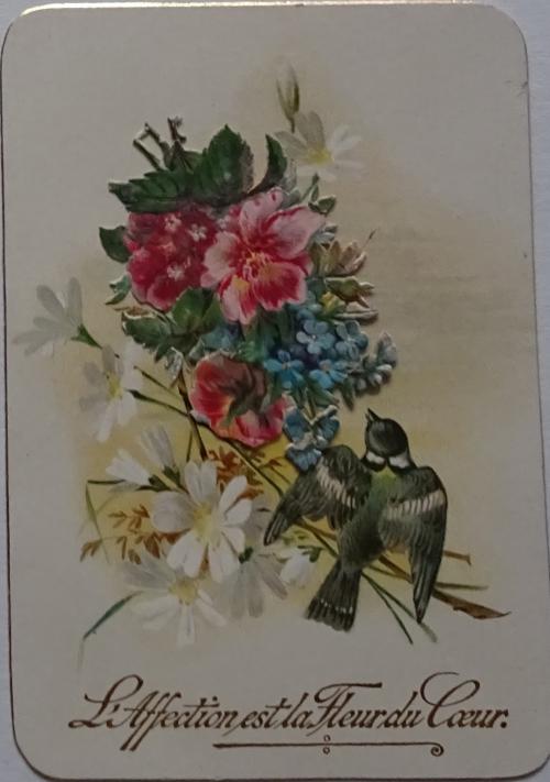 Mes chromos et cartes peintes