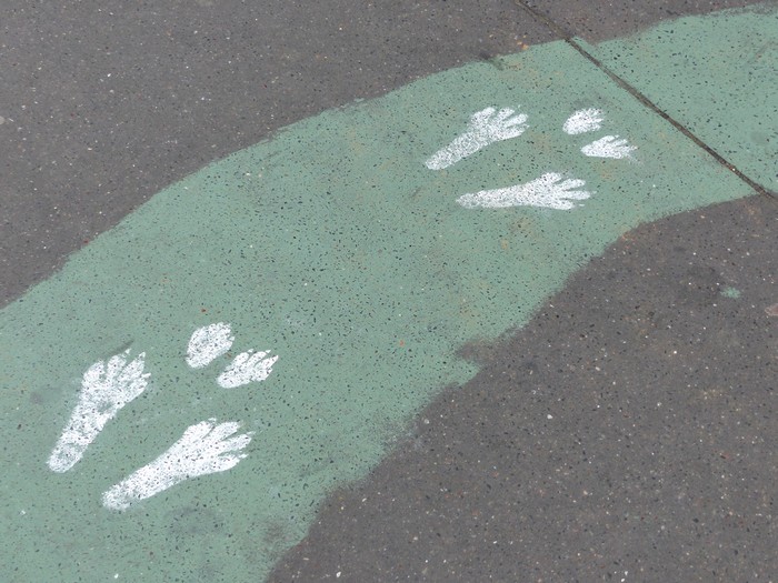 Je l'ai trouvé ... le lapin blanc ! 
