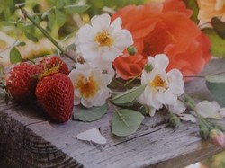 Douceur de fruits ... et de ... chocolat ....